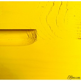 Hausse Dadant jaune + 9...