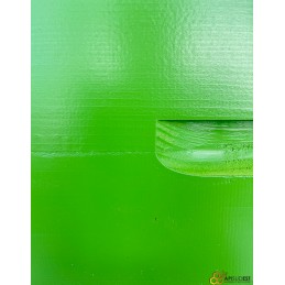 Hausse dadant 9 cadres verte