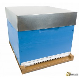 Ruche Dadant 10 cadres...