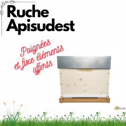Ruche Dadant fond...