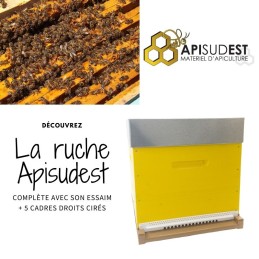 Ruche Apisudest Jaune...