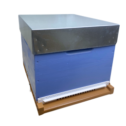 Ruche Dadant 10 cadres...