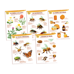 Kit de 5 posters abeilles