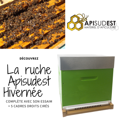 Apiformation Brignoles +...