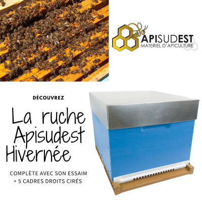 Apiformation Brignoles +...