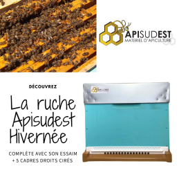 Apiformation Brignoles +...