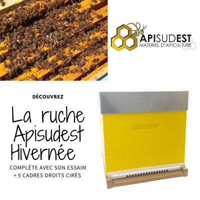 Apiformation Aubagne +...