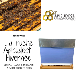 Apiformation Aubagne +...