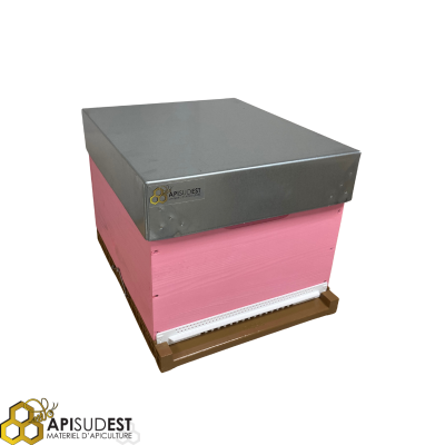 Ruche Dadant 10 cadres...