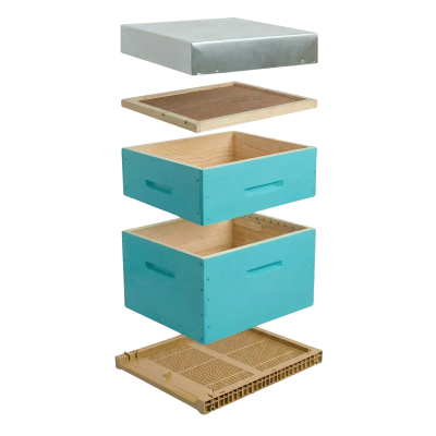 Ruche Dadant Turquoise...