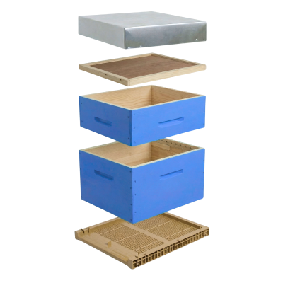 Ruche Dadant bleue complète