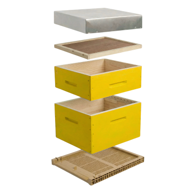 Ruche Dadant jaune complète