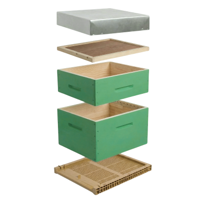 Ruche Dadant verte complète