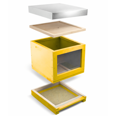Ruche Dadant jaune avec vitre