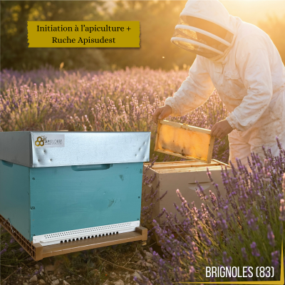 Apiformation Brignoles +...