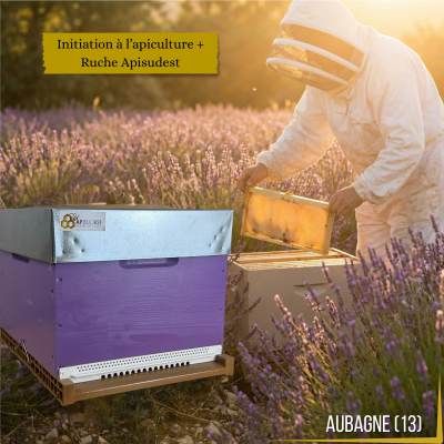 Apiformation Aubagne +...