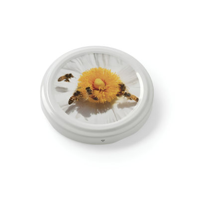 Capsule To82 Fleur Blanche...